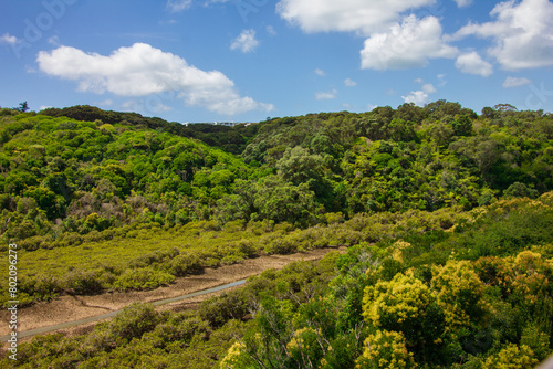 A drying river bed surrounded by thick vegetation and forest covered hills. Auckland, New Zealand