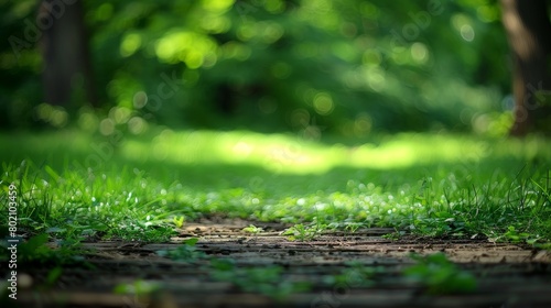 A serene forest pathway dappled with sunlight filtering through lush green foliage, evoking a peaceful atmosphere. © red_orange_stock