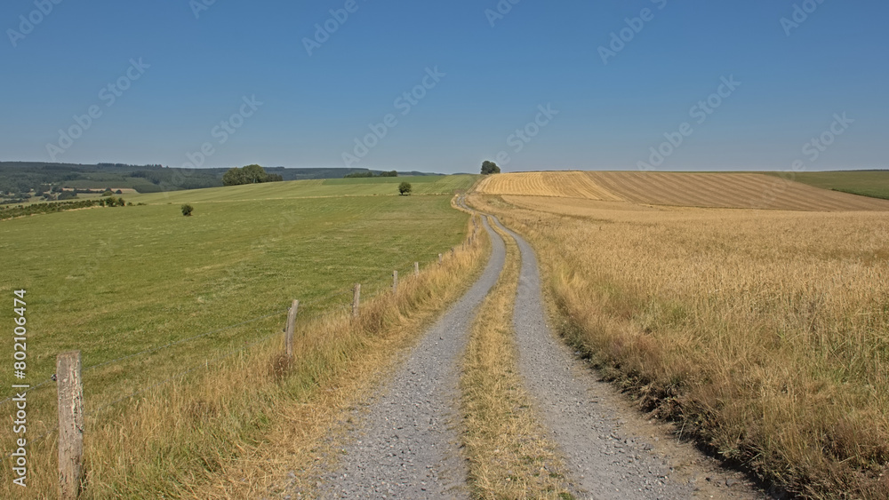 Dirtroad between meadows in the wallonian countryside. Dirtroad between meadows in the wallonian countryside.