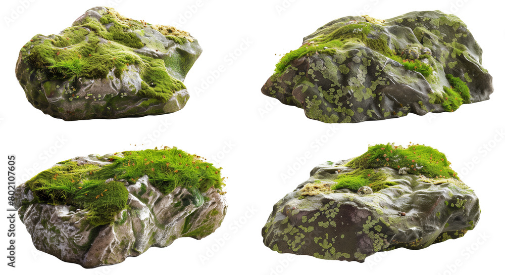 Set of four rocks covered with vibrant green moss and small plants, isolated on a white background. Set of four rocks covered with vibrant green moss and small plants, isolated on a white background.