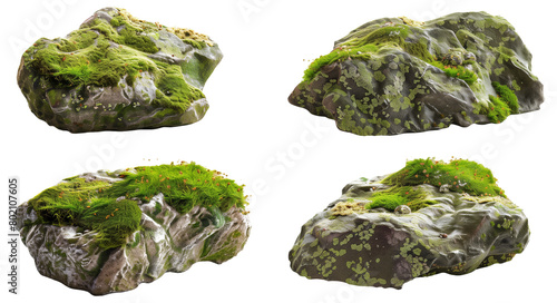 Set of four rocks covered with vibrant green moss and small plants, isolated on a white background.