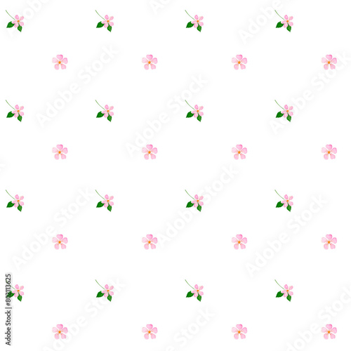 Watercolor floral pattern. Seamless illustration of pink blossoms on a white background. Delicate minimalistic design. For printing on textiles and cosmetics packaging © Татьяна Трущелева