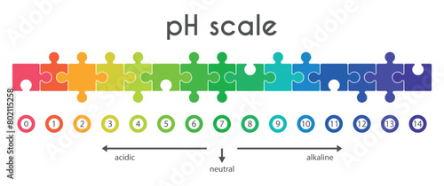 Scale of pH values for acid-base solution in form of puzzles. Infographics of acid-base balance isolated on white background. Indicator of hydrogen ion concentration in solution. Vector illustration.