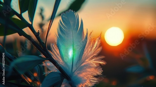 An artistic representation of a collection of  soft blue  feathers floating against a background of diffuse sunlight filtering through a misty morning photo