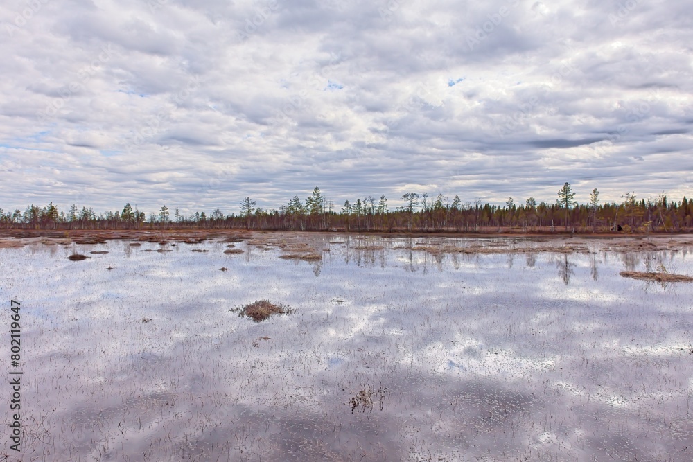 Viiankiaapa Mire Reserve in cloudy spring weather, Sodankylä, Lapland, Finland. Swampy land and wetland, marsh, bog.