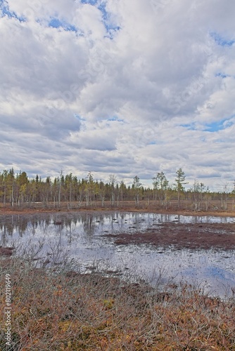 Viiankiaapa Mire Reserve in cloudy spring weather, Sodankylä, Lapland, Finland. Swampy land and wetland, marsh, bog. photo