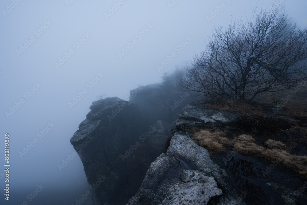 Gloomy and totally moody view deep in the foggy rocks with the best dark and mystic atmosphere in the north of Bohemia. Gloomy and totally moody view deep in the foggy rocks with the best dark and mystic atmosphere in the north of Bohemia.