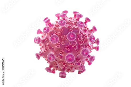 Human Papilloma virus On Transparent Background. photo