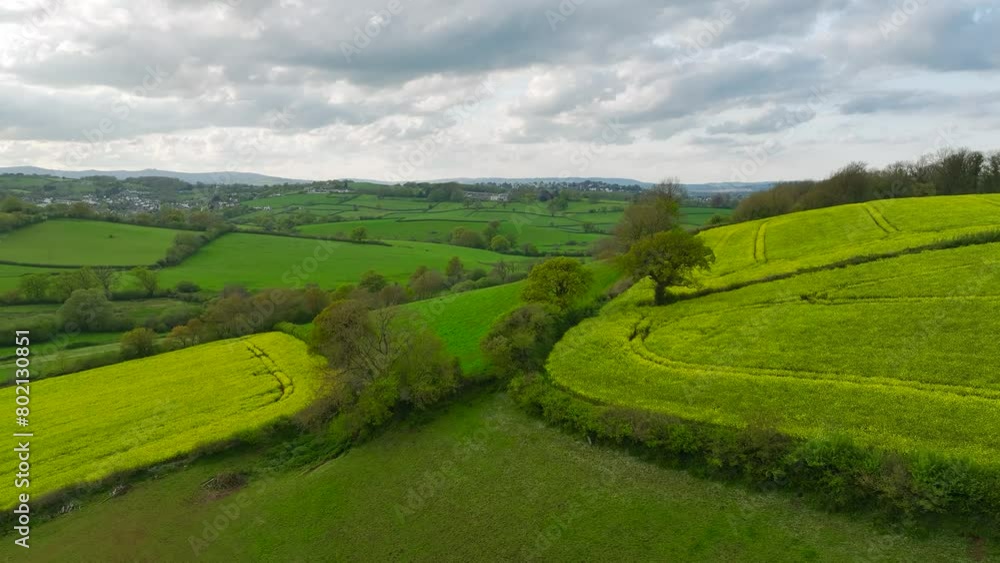 Rapeseed fields and farms from a drone, Torquay, Devon, England Rapeseed fields and farms from a drone, Torquay, Devon, England