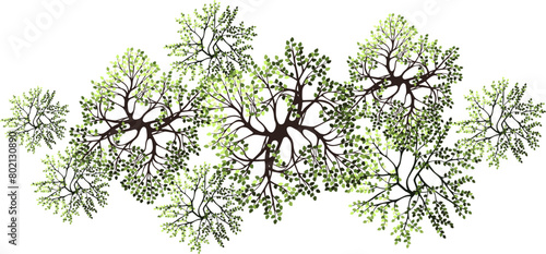 Tree for architectural floor plans. Entourage design. Various trees, bushes, and shrubs, top view for the landscape design plan. Vector illustration.