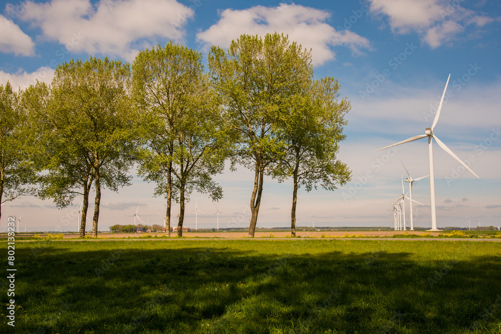Fototapeta premium landscape with wind turbines 