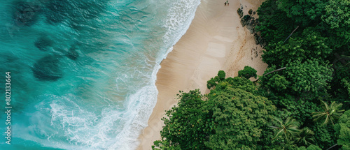 A beautiful beach with a green forest in the background