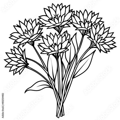 Cornflower Flower  Bouquet outline illustration coloring book page design  Cornflower Flower  Bouquet black and white line art drawing coloring book pages for children and adults