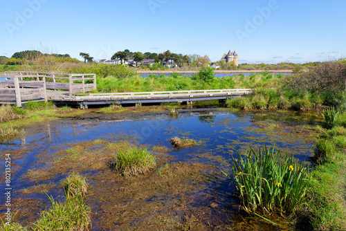 Obraz na plátně Suscinio swamps in the Morbihan coast