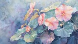 A beautiful watercolor painting of pink begonias