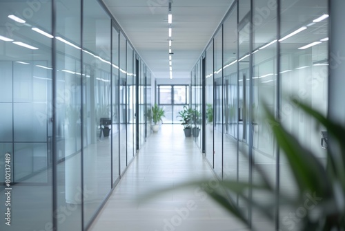 A long hallway in a modern office setting  featuring glass walls and vibrant green plants along the sides