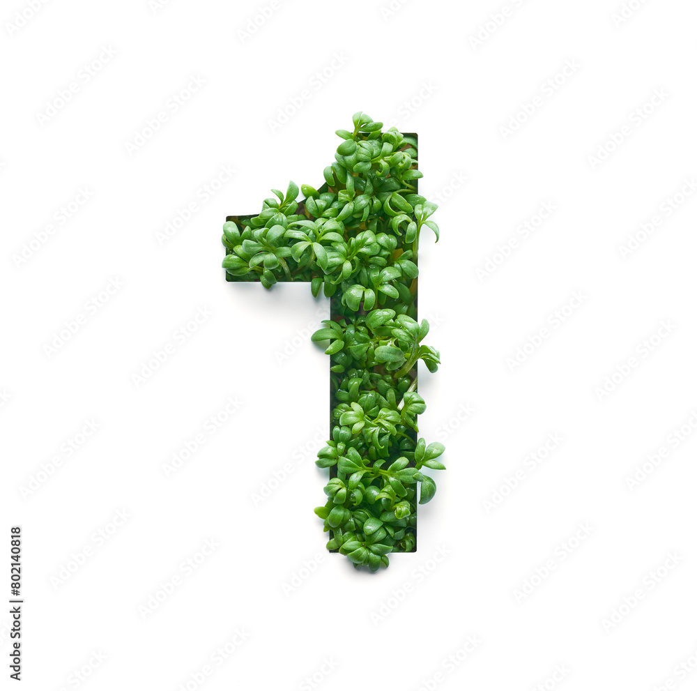 Number one is created from young green arugula sprouts on a white background.
