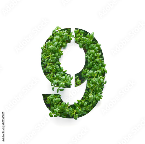 Number nine is created from young green arugula sprouts on a white background.