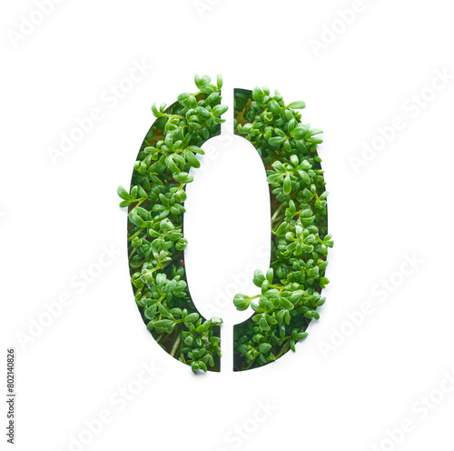 Number zero is created from young green arugula sprouts on a white background.