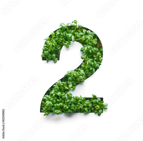 Number two is created from young green arugula sprouts on a white background.