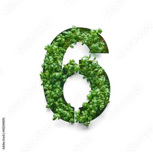Number six is created from young green arugula sprouts on a white background.