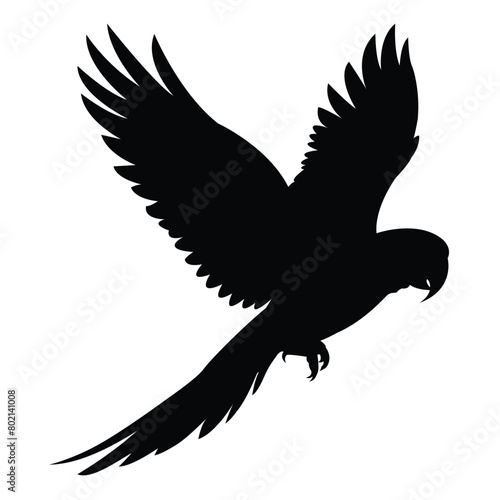 silhouette of a flying macaw 