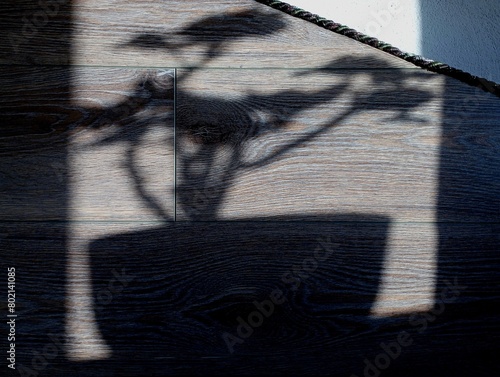 A shadow from a pot with a houseplant on the wall in a room interior on a wooden laminated surface. © Олег Струс