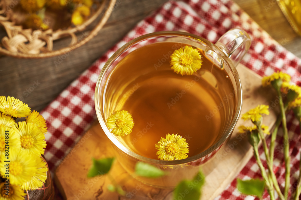 A cup of herbal tea with fresh coltsfoot flowers A cup of herbal tea with fresh coltsfoot flowers