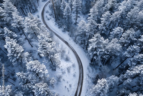 A wide-angle view of a winding trail cutting through a snowy forest, inviting viewers to explore the scenic winter landscape © Ilia Nesolenyi