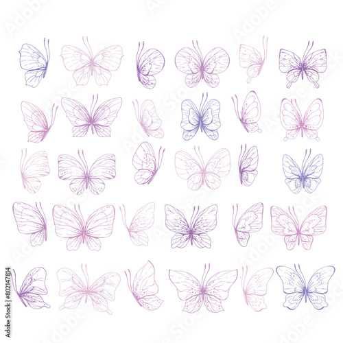 Butterflies are pink  blue  lilac  flying  delicate line art  clip art. Graphic illustration hand drawn in pink  lilac ink. Set of isolated objects EPS vector.