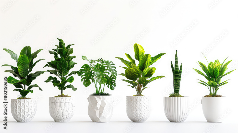Collection of 3d realistic icon illustration potted plants for the interior, Isolated on white background,Set of artificial green houseplants in white pots ,grass in indoor pots of various shapes
