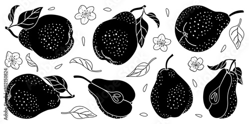 Pear silhouettes set. Minimalistic simple fruit element. Whole and Sliced pears with seeds, flowers and leaves. Isolated on a white background. Black silhouettes vector illustration.
