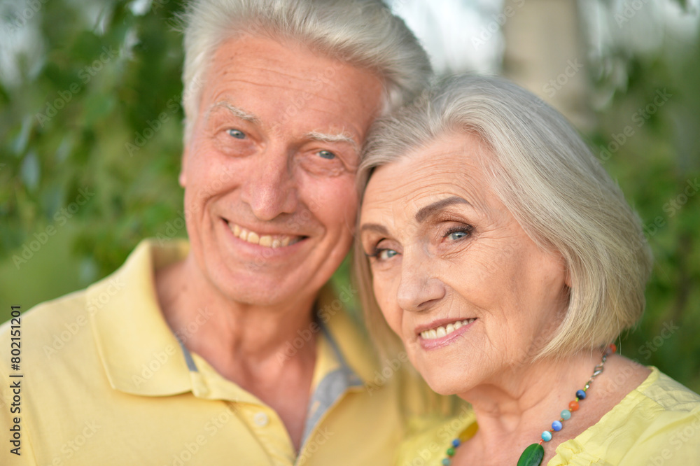 Beautiful senior couple posing and hugging in the park Beautiful senior couple posing and hugging in the park