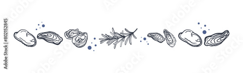 Isolated vector set of seafood. Mussels. Oysters. Hand drawn seafood delicacy, restaurant and marine cafe menu. Design template.
