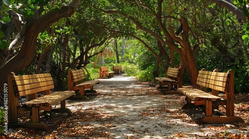 Wooden park benches arranged in a shaded grove, inviting relaxation and contemplation amid nature's beauty.