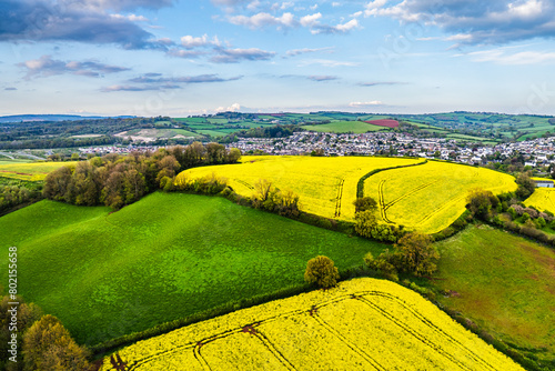 Rapeseed fields and farms from a drone, Torquay, Devon, England