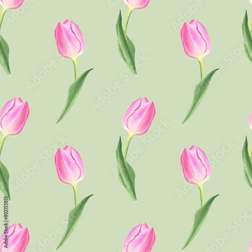 Pink tulips flowers with leaves. Seamless pattern on a green background. Hand drawn watercolor botanical illustration. For postcards  textiles  covers  wallpapers  design  decor  wrapping paper