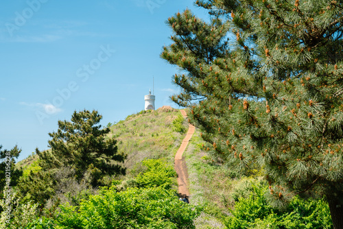 Obraz na płótnie Biyangdo Island Biyangbong peak lighthouse and trail road in Jeju island, Korea w salonie