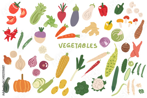 Vegetables hand drawn set. Vector illustration isolated on white background. For packaging, wall art, posters, branding,  magazines, book cover, blogs,  business, social media, greeting cards,  banner