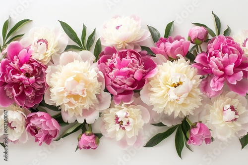 Flowers composition. Flat lay. Top view. Border frame made of pink and beige peonies isolated on white background. Gentle peonies and ranunculus. Beautiful backdrop for design. Floral assorted peony © Marina Demidiuk