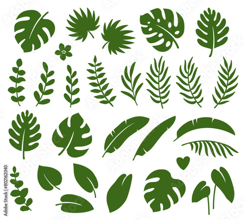green tropical leaves branches summer set