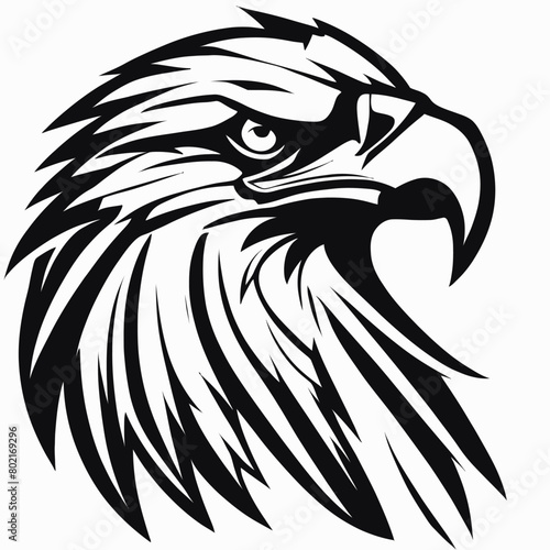 Eagle Art Work