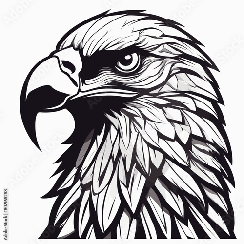 Eagle Art Work