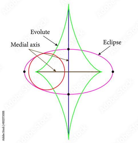 médial axis , Ellipse_symmetry_set.Vector illustration