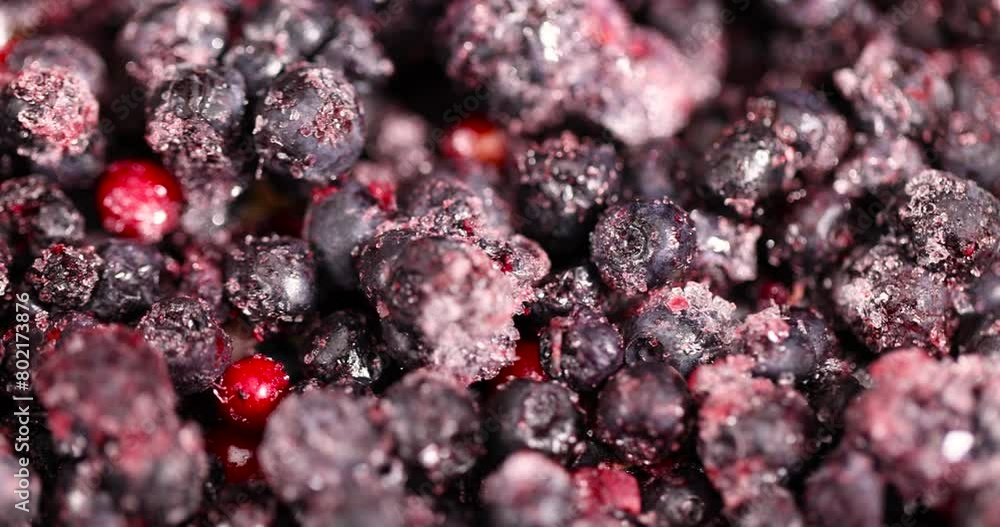 frozen ripe blueberries with red unripe berries, a large number of frozen blueberries with red unripe frozen ripe blueberries with red unripe berries, a large number of frozen blueberries with red unripe