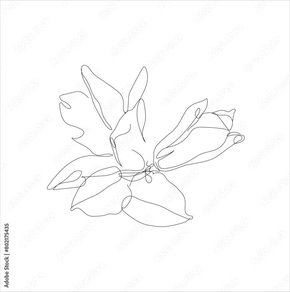 Floral vector line art with spring flowers magnolia in minimalism ...