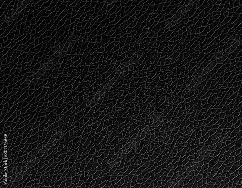 Wallpaper Mural This image showcases a close-up of a black leather texture. The intricate grain pattern and the luxurious feel are evident Torontodigital.ca