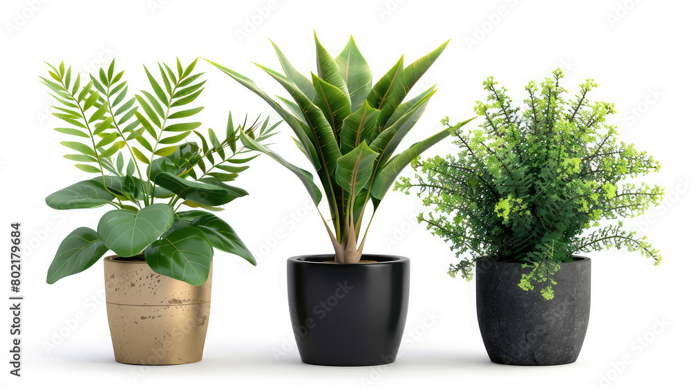Houseplants in pots isolated on white background. 3d render,Green ornamental plants to stand on desk or living room to add freshness and relaxation green plants, House Plants Assortment 