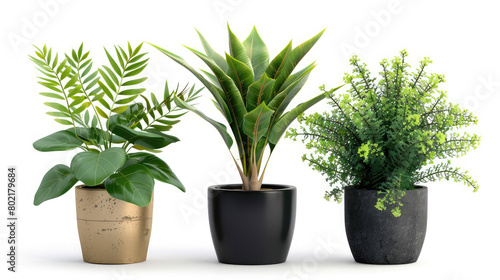 Houseplants in pots isolated on white background. 3d render,Green ornamental plants to stand on desk or living room to add freshness and relaxation green plants, House Plants Assortment 