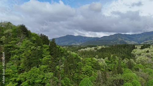 広大な山と森林　空撮　ドローン撮影